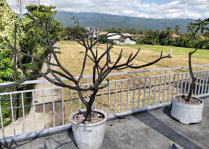 Agung